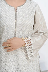 Pearl Grey Fully Embroidered Chikankari 3-Piece
