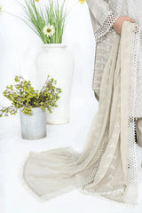 Pearl Grey Fully Embroidered Chikankari 3-Piece