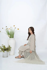 Pearl Grey Fully Embroidered Chikankari 3-Piece